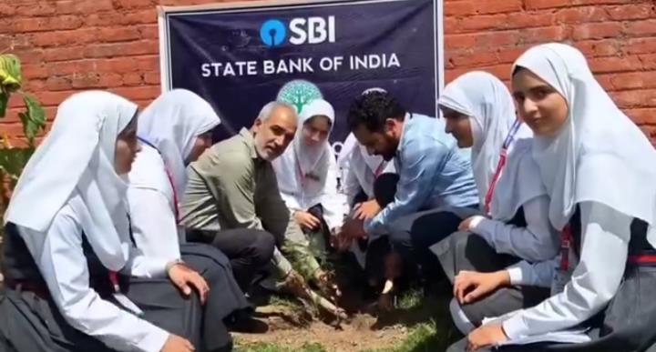 Plantation Drive 2025