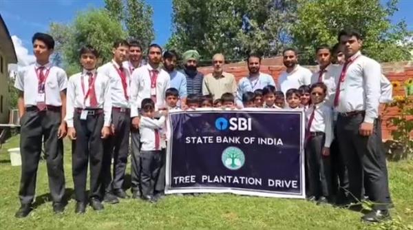 Plantation Drive 2025